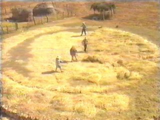 CAMPO (88)  LABRANZA
